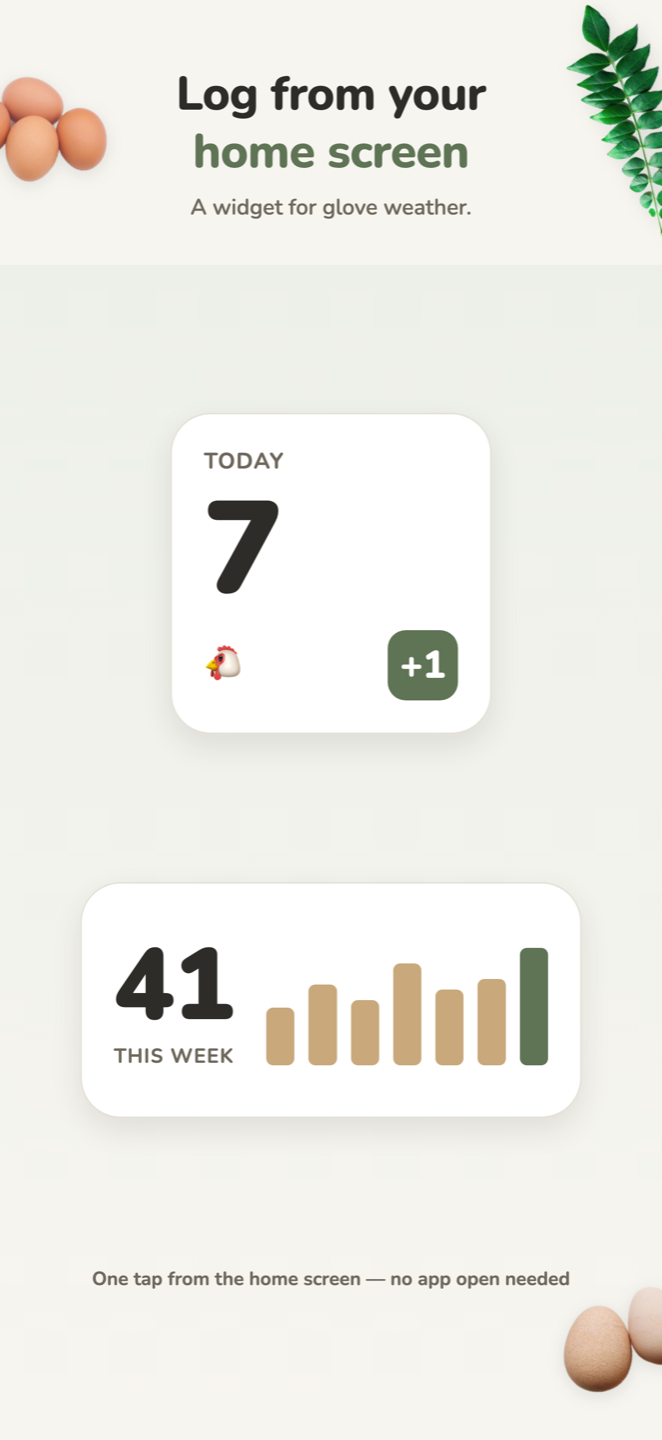 Home screen widget: today's count and a one-tap +1 egg button